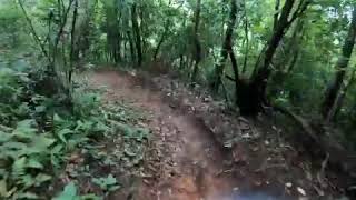 Bajando Bronson, Senderos Colón