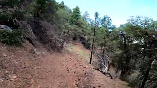 AZ MTB : Pinal Mountains: Upper Telephone 2024