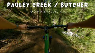 Pauley Creek | Lower Butcher / Downieville, CA...