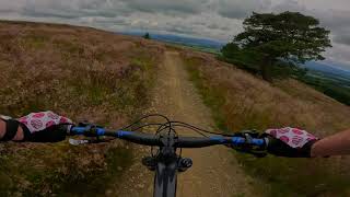 Bon Gripper, Tarland Trails 2