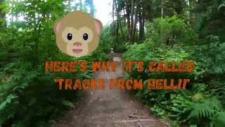 Bike Balance Trail: Tracks from Hell