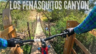 San Diego beginner and advanced MTB trail...