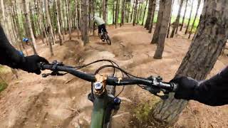 Swamp Donkey - Sugarloaf Bike Park