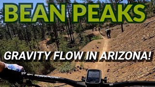Are Bean Peaks the best Gravity Flow Trails in...