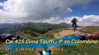 CAI 425 da Cima Tauffi a P.so Colombino,...