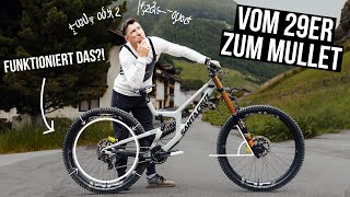 Santa Cruz V10 auf Mullet umgebaut - darf man...