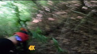 Gruebacher MiniTrail - crashed! | HomeTrails |...