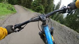 Flow Link - Bike Park Leogang - 2024