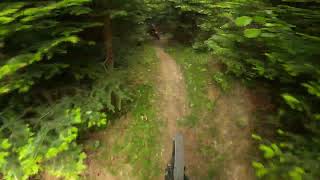 Cyklostopy - Jelenia stopa 18.6.2023
