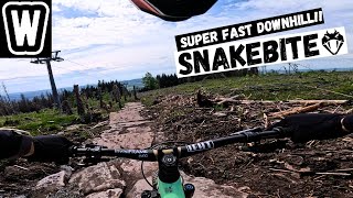 'Snakebite' Fast Downhill Run | Bikepark Braunlage