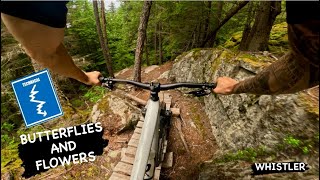 BUTTERFLIES AND FLOWERS | Blue Trail |...