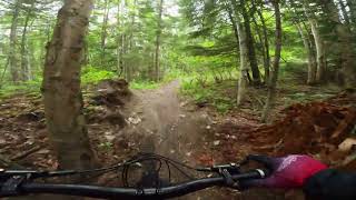 Tabor Mountain Rec Trails - DAYDREAM | VITUS...
