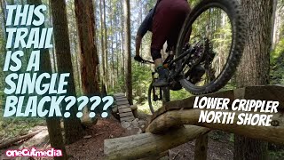 How is this trail a SINGLE BLACK?  Lower...
