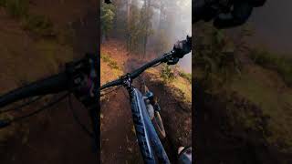 La Palma MTB Torreones