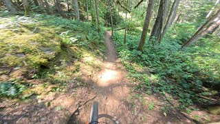 Trillium to Seven (Down) - July 1st, 2024