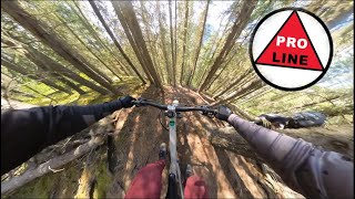 CARNEY HANDS PROLINE | Baseline Mountain