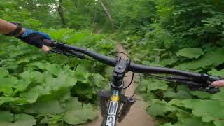 Mountain Biking at Theodore Wirth Park in...