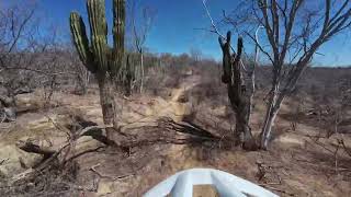 Los Torres Loop-July 18, 2024