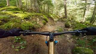 Pyrenees - MTB - Trail: Eth Sanglier - Chunky...