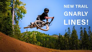 Vancouver Island’s NEWEST JUMP TRAIL!