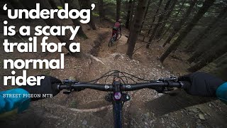 Scotland's most talked about Enduro location...
