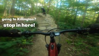Sherburner a legit FLOW trail