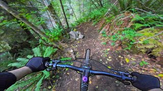 My new favorite trail here!
