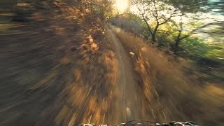 DH To Millard Camp Mountain Biking, Pasadena...