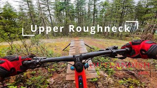 Super Rowdy with Roots and Rocks Everywhere!