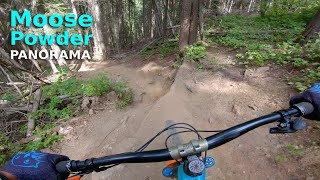 Moose Powder | Panorama, BC