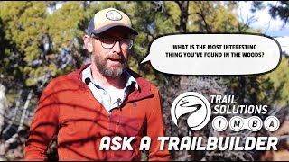 What's the most interesting thing you've found...