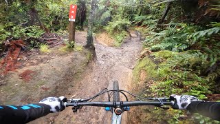 MTB Ride! Vol. 38 Rotorua, Redwoods. Dig Daze!...