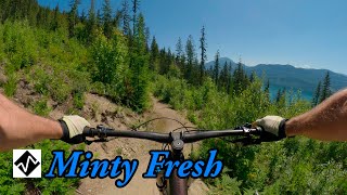 Best Expert MTB Trail in Nakusp, BC - Minty Fresh