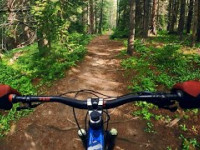 Forest Flow | Biking Bakers Tank trail near...