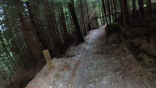 El Hippo @ Dyfi Bike Park (Full Run)