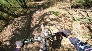 Serbia, Novi-Sad, Trail 'Juliska DH', 06/2024