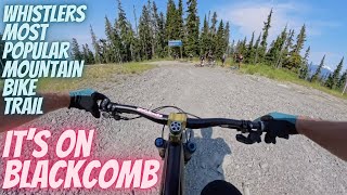 The Most Popular Mountain bike trail in...