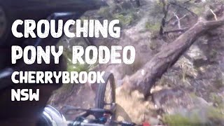 Crouching Pony Rodeo, Cherrybrook, Sydney