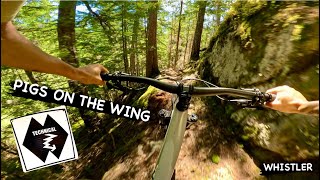 PIGS ON THE WING | Double Black Trail |...