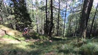 Gornerwald Trail in Kals am Glockner -...