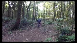 MTB Cornwall - DD Top line Sept 18
