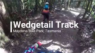 Wedgetail Track