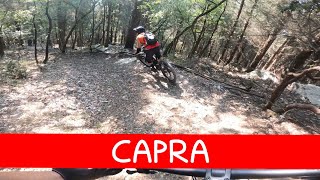 MTB Calenzano Travalle 03.08.2024 sentiero CAPRA
