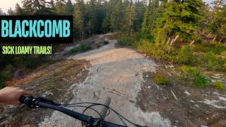 Blackcomb MTB Trails are SICK - Better Than...