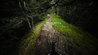 Slab trail! | Epic Woods -  Chamonix MTB