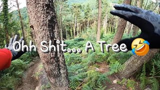 Tirpentwys.. Hugging Tree's and MTB's 