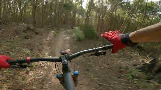 Gravity Eden Mountain Bike Park - Sodium