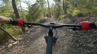 Narooma Mountain Bike Park - Twitching Whisker