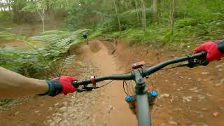 Uki Mountain Bike Park - Teal for Real (T5)