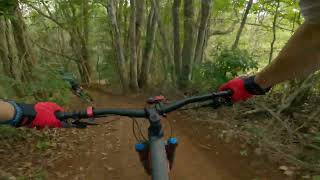 Uki Mountain Bike Park - Flocka Pigeons (T6)